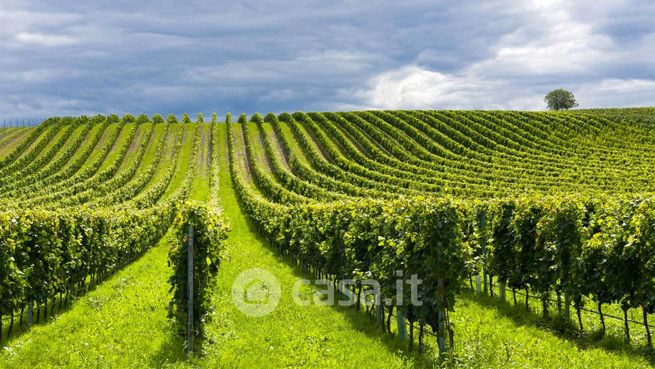 Terreno agricolo in commerciale in 