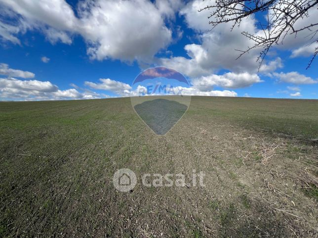 Terreno agricolo in commerciale in 