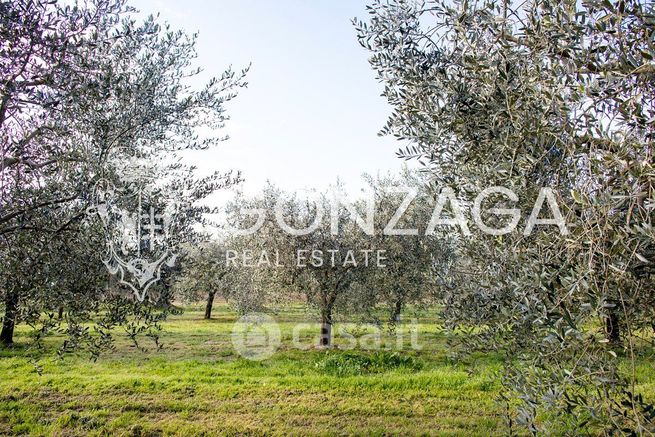 Terreno agricolo in commerciale in Via Rosato Del