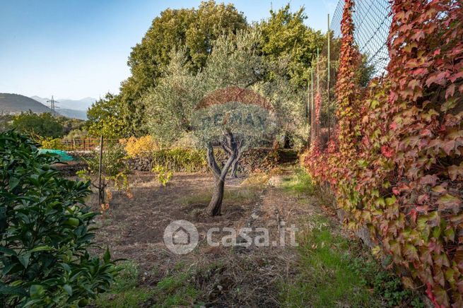 Terreno agricolo in commerciale in Via Salemi Pennisi