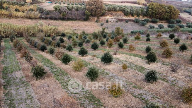 Terreno agricolo in commerciale in Contrada Coderuto