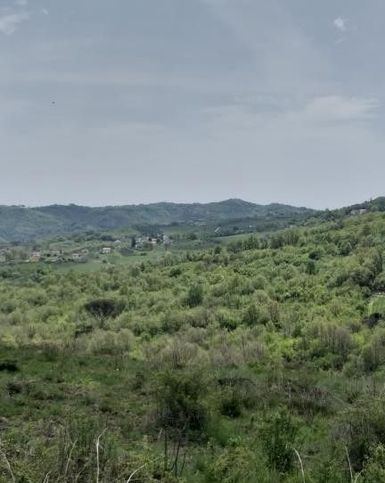 Terreno agricolo in commerciale in Via Macchiusanella