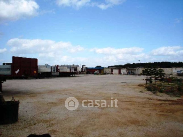 Terreno agricolo in commerciale in Contrada Ciancio