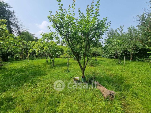 Terreno agricolo in commerciale in Via della Repubblica