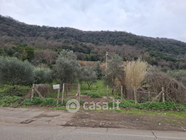 Terreno agricolo in commerciale in Via Diana