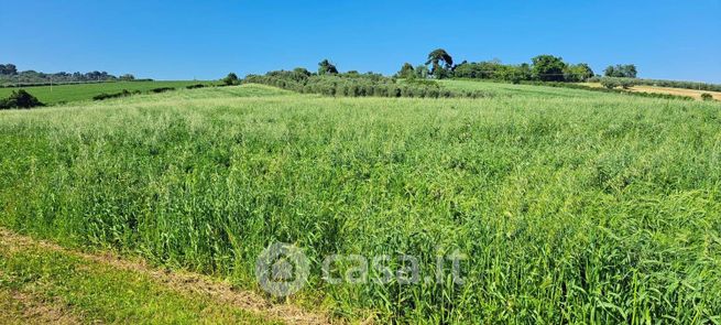 Terreno agricolo in commerciale in 