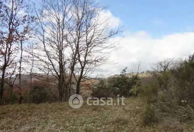 Terreno agricolo in commerciale in LocalitÃ  Carpiano