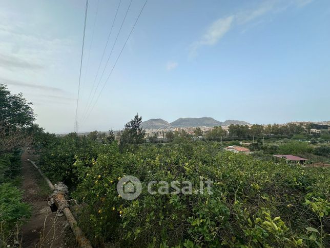 Terreno agricolo in commerciale in Vallone Di Sciacca