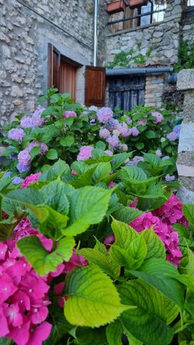 Rustico/casale in residenziale in Frazione Montebibico