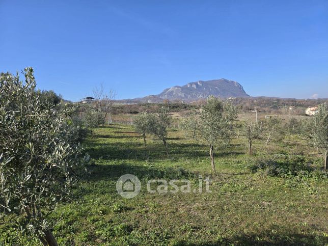 Terreno agricolo in commerciale in Via San Francesco