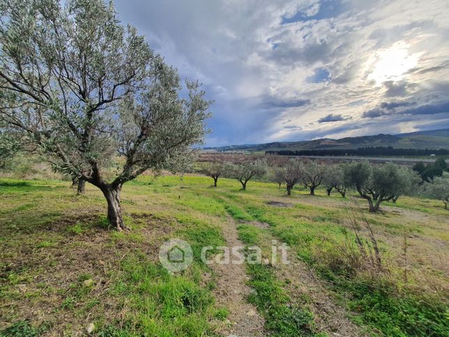 Terreno agricolo in commerciale in 