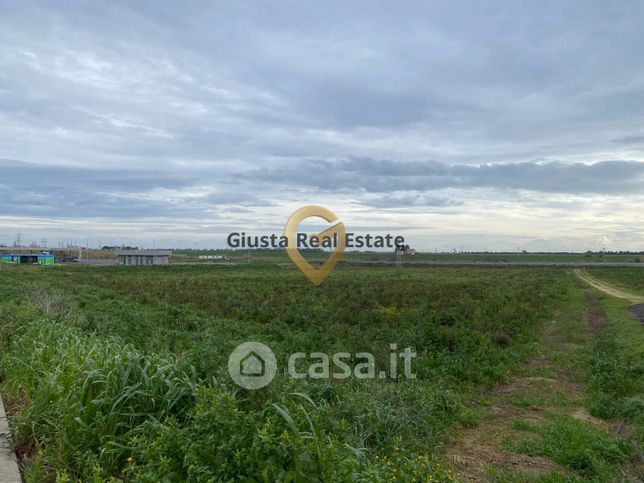 Terreno agricolo in commerciale in Contrada Muscia