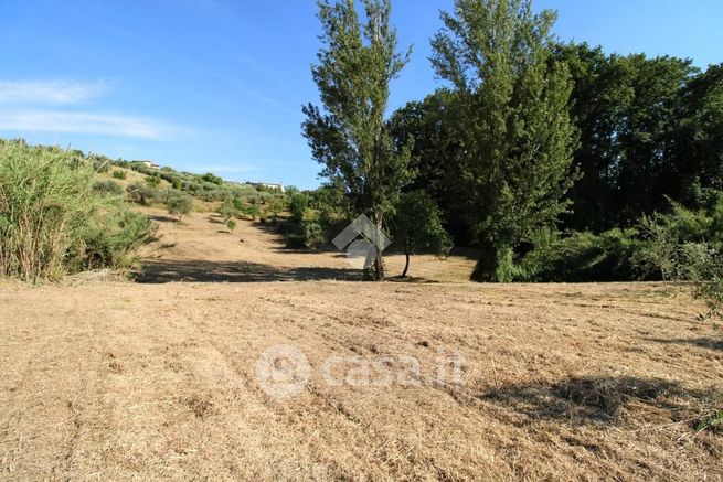 Terreno agricolo in commerciale in Via XII Apostoli 35