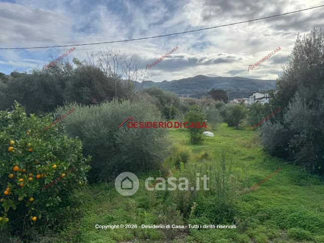 Terreno agricolo in commerciale in Via Trazzera Marina 352