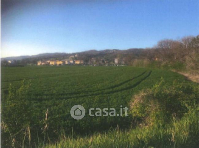 Terreno edificabile in residenziale in Frazione Branca