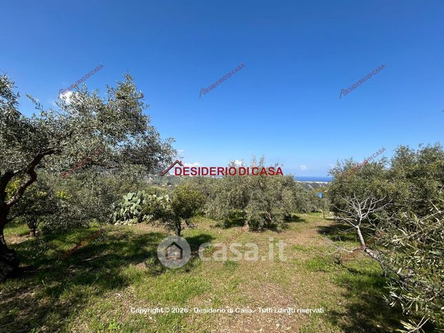 Terreno agricolo in commerciale in Strada Comunale Raiata