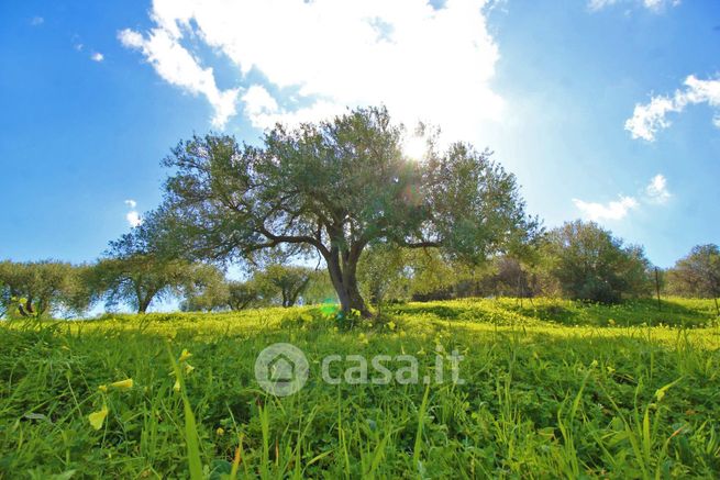 Terreno agricolo in commerciale in Via IV Finaite 18