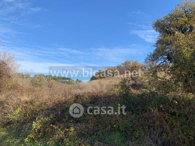 Terreno agricolo in commerciale in 