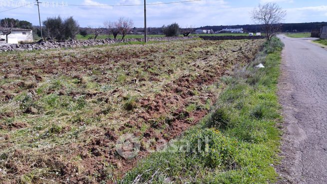 Terreno agricolo in commerciale in Lago delle rose 2