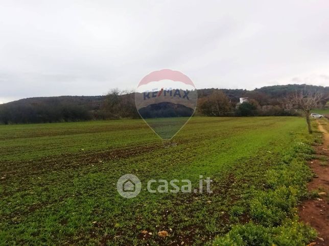 Terreno agricolo in commerciale in Contrada Paretano