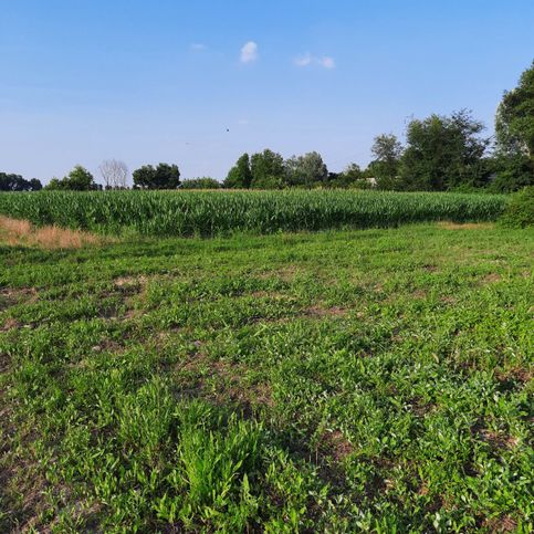 Terreno agricolo in commerciale in Via Adige