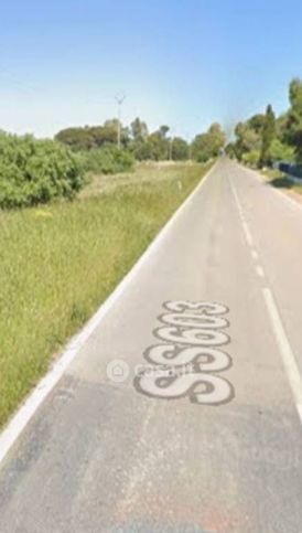 Terreno agricolo in commerciale in Contrada Regina