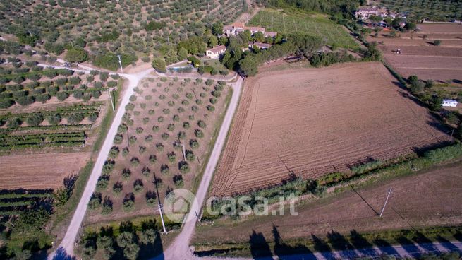 Rustico/casale in residenziale in LocalitÃ  Ossaia