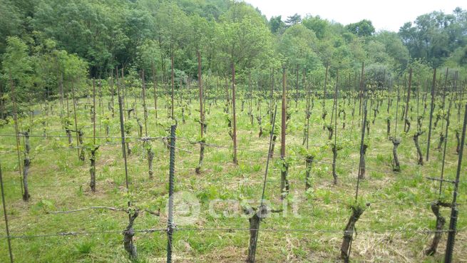 Terreno agricolo in commerciale in via 12