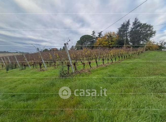 Terreno agricolo in commerciale in Via Sabbioni