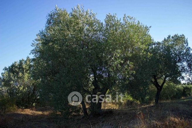 Terreno agricolo in commerciale in 