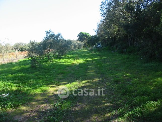 Terreno agricolo in commerciale in loc is achillonis