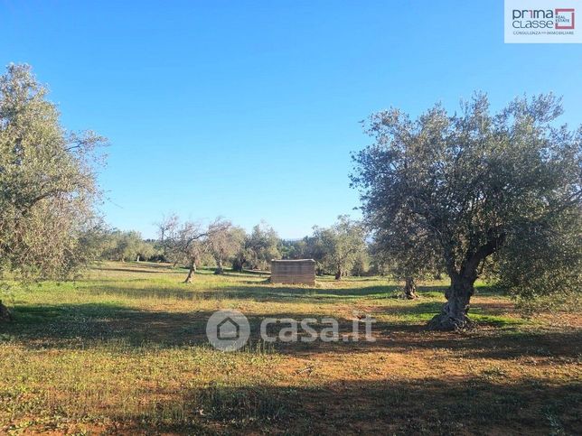 Terreno agricolo in commerciale in Contrada GERBE