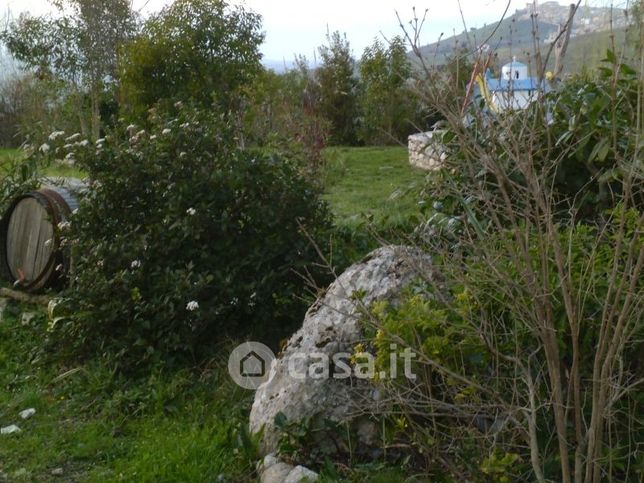 Terreno agricolo in commerciale in 