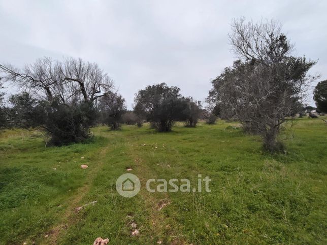 Terreno agricolo in commerciale in Via Giuseppe Agostino Roggerone