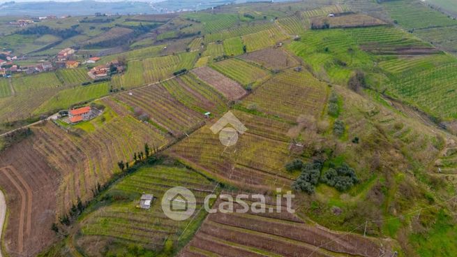 Terreno agricolo in commerciale in Via Romano Dian 83