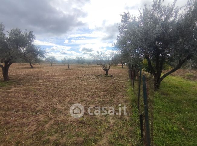 Terreno agricolo in commerciale in Cda Centova