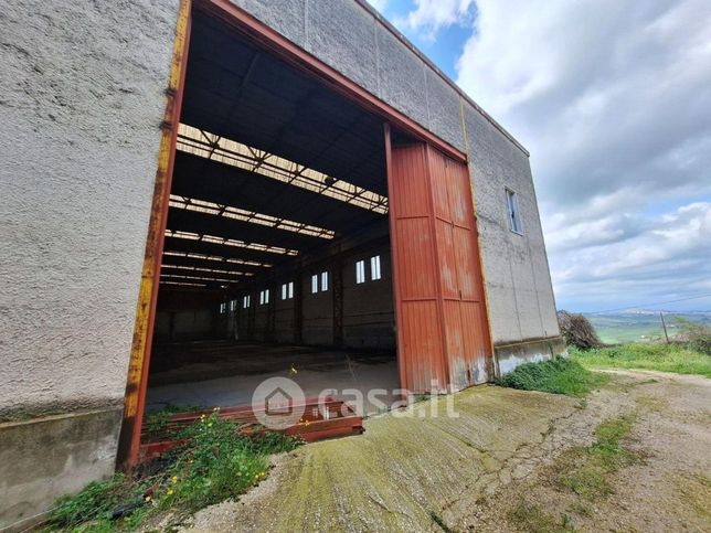 Capannone in commerciale in Borgo San Lucia 51