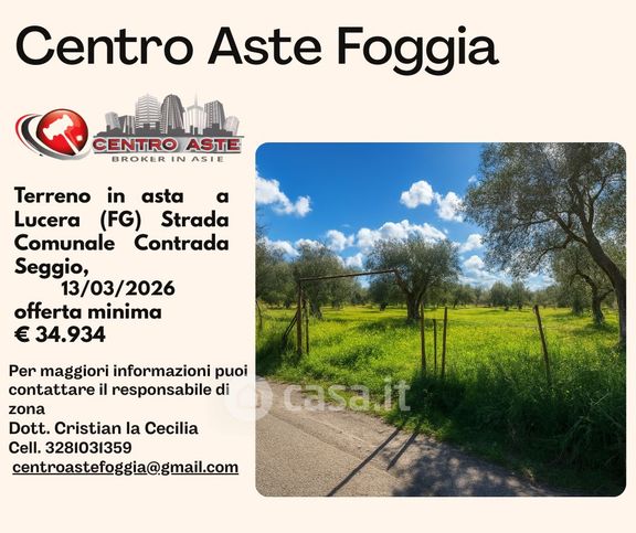 Terreno agricolo in commerciale in Strada Comunale Contrada Seggio