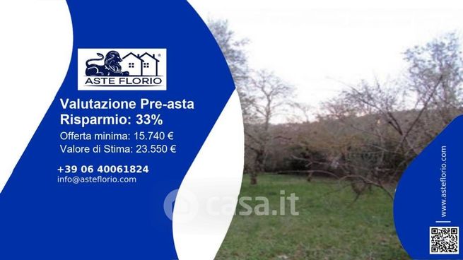 Terreno agricolo in commerciale in Via dei Ricci 22
