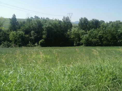 Terreno agricolo in commerciale in Via Castello