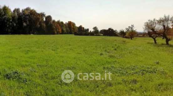 Terreno agricolo in commerciale in Borgo Santa Maria