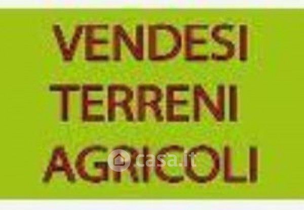 Terreno agricolo in commerciale in Via dei Loghi 56