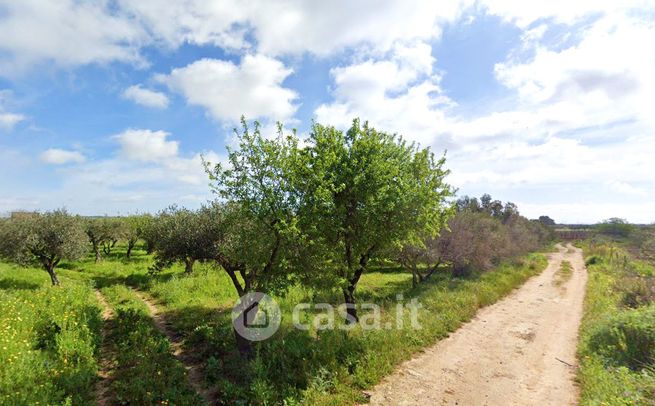 Terreno agricolo in commerciale in Via del Maratoneta
