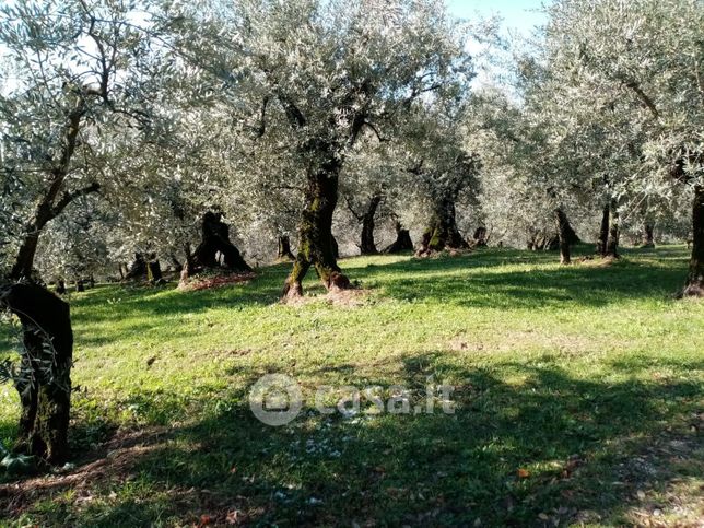 Terreno edificabile in residenziale in Località La Valle