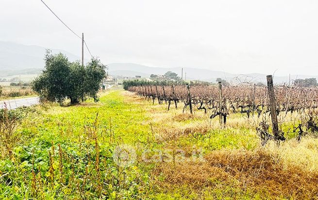 Terreno agricolo in commerciale in Località Ponti di badia