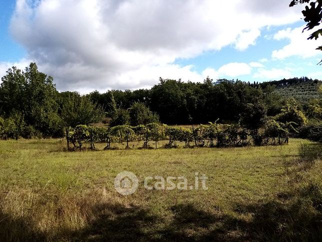 Terreno edificabile in residenziale in Località Muciafora