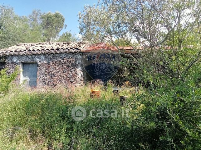 Terreno agricolo in commerciale in Strada Senza Nome