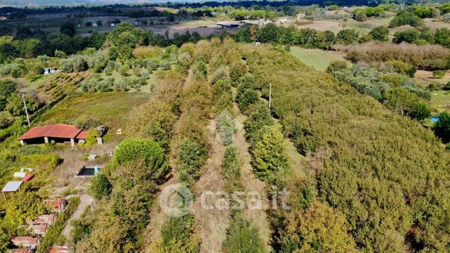 Terreno agricolo in commerciale in Via Lazio 94