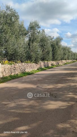 Terreno agricolo in commerciale in Strada Esterna Boccotero 17