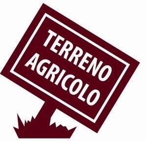 Terreno agricolo in commerciale in Via delle Grugnole